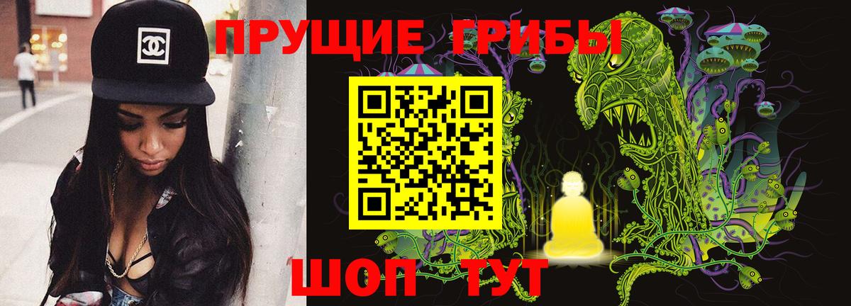 Псилоцибиновые грибы Psilocybe  Вход с VPN  Галлюциногенные грибы Psilocybe  Тосно 